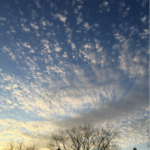 clouds above trees