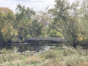 bridge over water with autumn trees