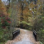 bridge with autumn trees around
