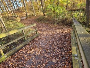 Goddard Park bridge with bench